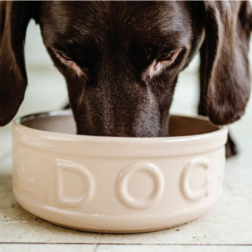 dog-bowl